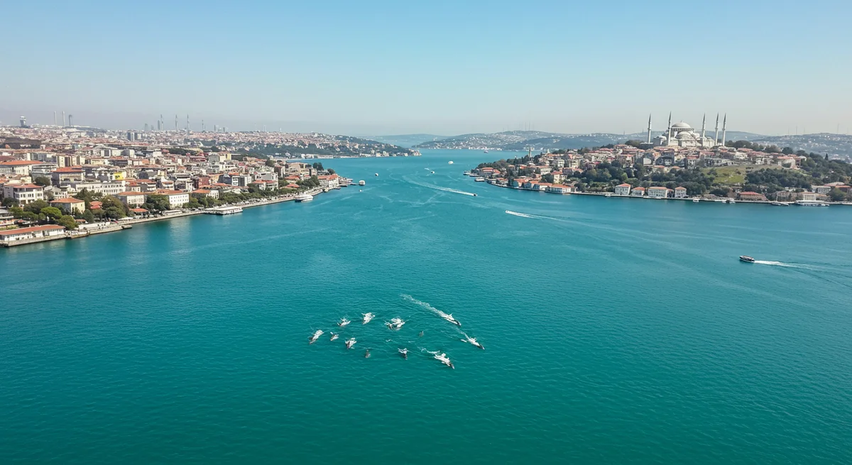 İstanbul Boğazı'nda Akıllara Duran Manzara: Turkuaz Sular ve Yunusların Büyüleyici Dansı Drone'a Takıldı!