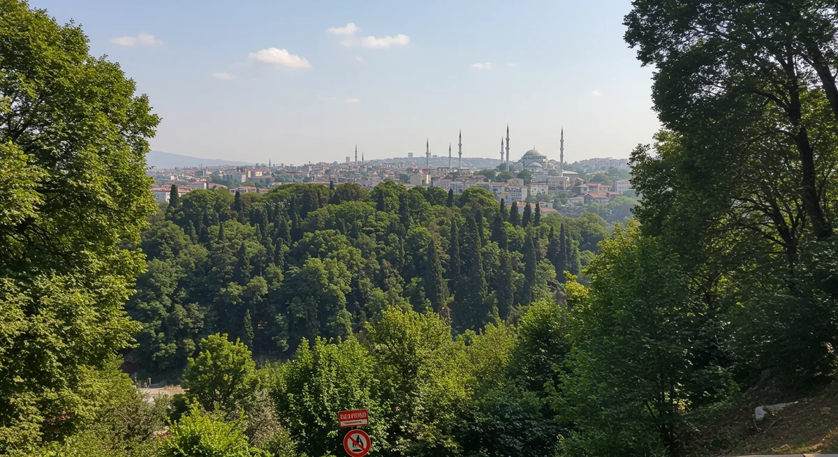 İstanbul Valiliği'nden Gelecek Yıl İçin Kritik Yangın Tedbirleri: Ormanlık Alanlara Giriş ve Ateş Yakma Yasağı Duyurusu!
