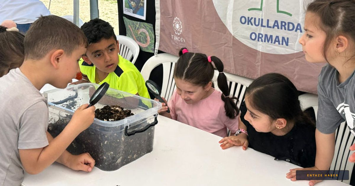 Türkiye'nin 267 Okulunda 'Orman Bayrağı' Gururu: İstanbul Zirvede!