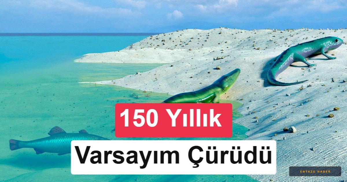 300 Milyon Yıllık Fosiller 150 Yıllık Evrimsel Ezberi Bozdu: Bilim Dünyası Şokta