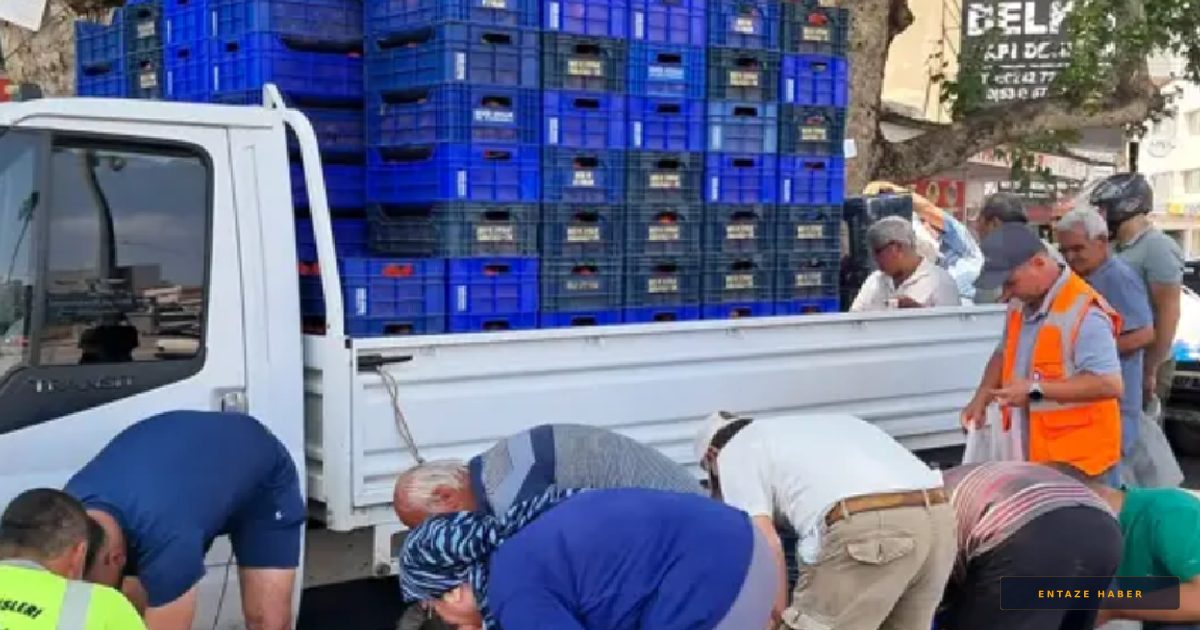 Toptancı 5 Lira Teklif Edince Çiftçi 4 Ton Domatesi Ücretsiz Dağıttı