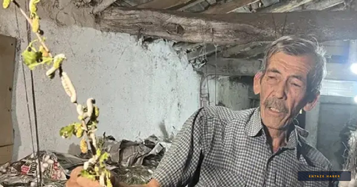 Ankara'da Modern İpek Yolu: 40 Günde 216 Bin Lira Kazandıran Gelenek