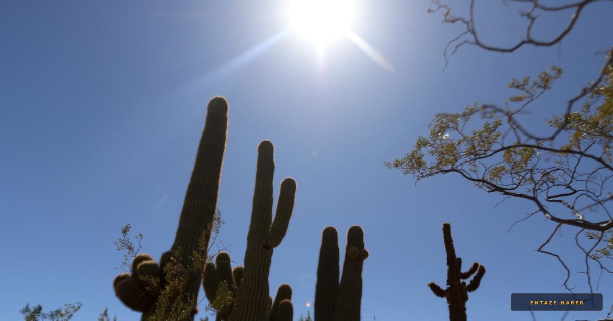 A Milli Takım'ın 2026 Kupası Mesaisi: Arizona'da 40 Derecelik Zorlu Sınav
