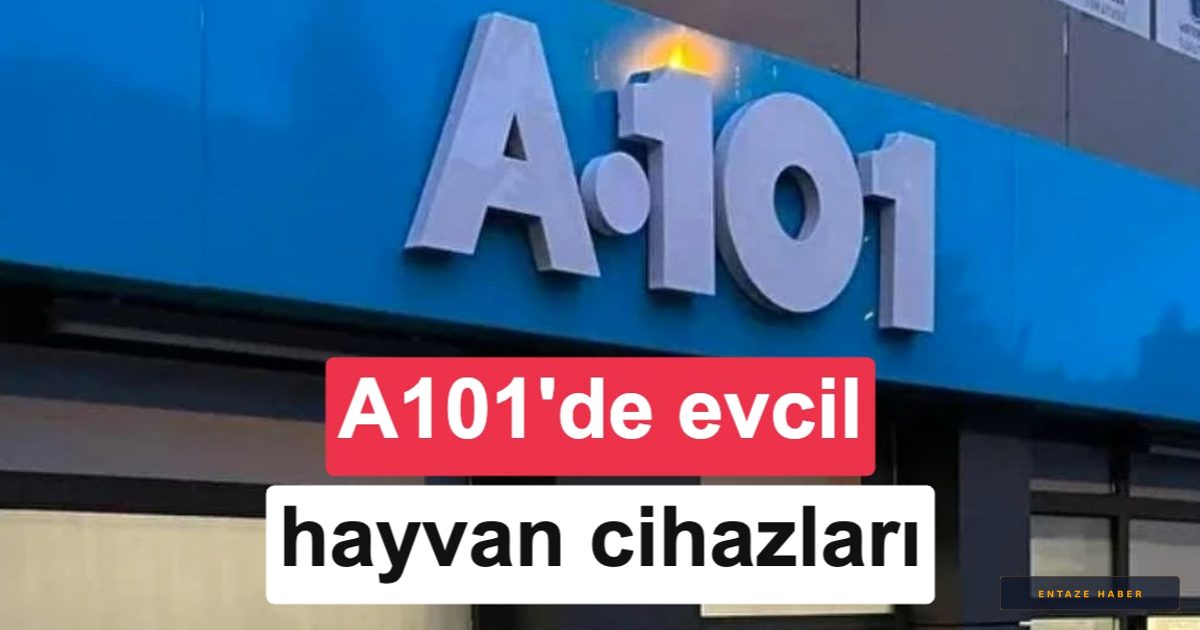 A101'de Teknoloji Fırtınası: Akıllı Kedi Tuvaletlerinden Araç Kameralarına Yeni Liste