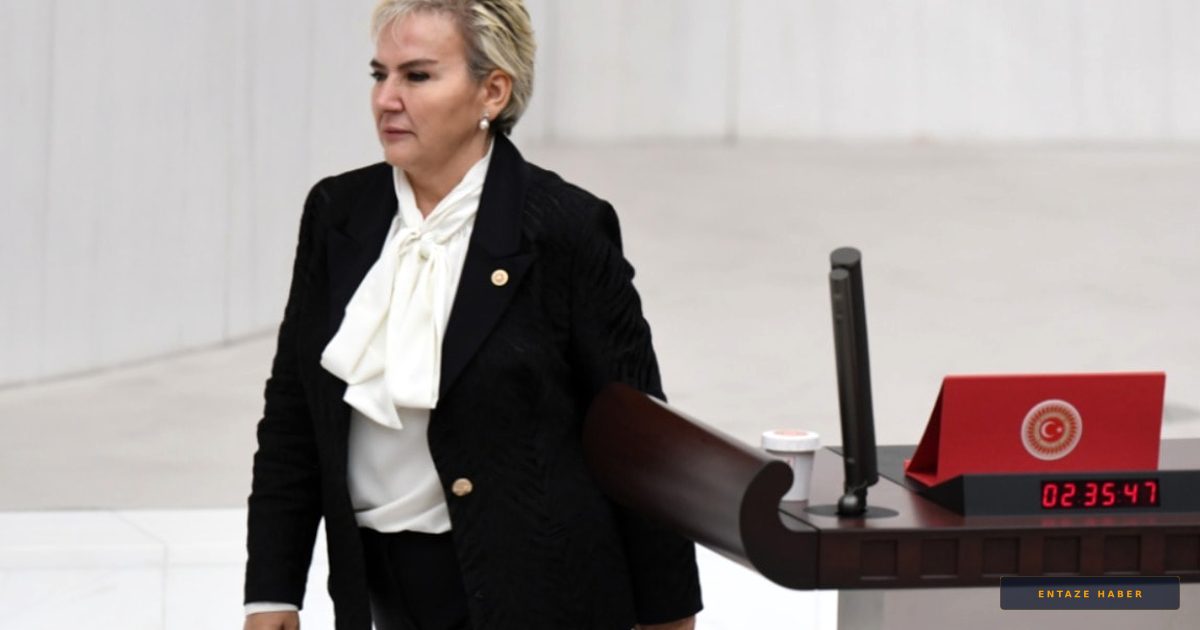 Yemin Törenindeki 'Atatürk' Çıkışıyla Gündem Olmuştu: Nimet Özdemir AKP'ye Katıldı