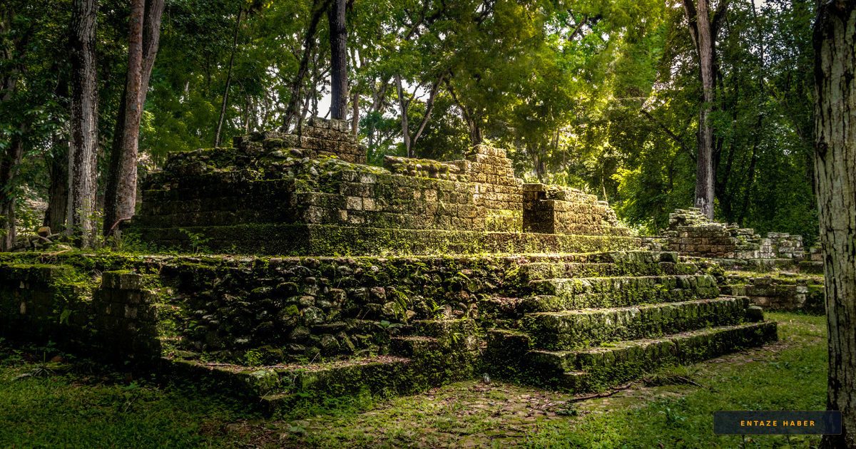 Google'ın Derinliklerinde Keşfedilen Kayıp Maya Şehri: 16. Sayfadaki Mucize