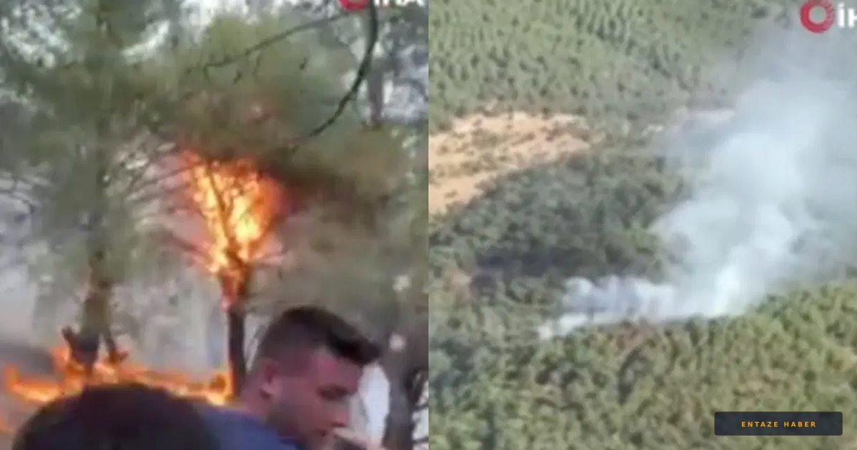 Ayvalık'ta Korkutan Yangın: Ekipler Alevleri Teslim Aldı