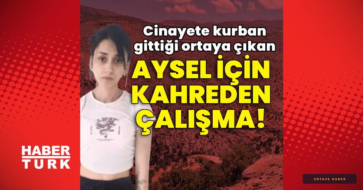 Aysel Yıldırım Cinayetinde Şok Detaylar: Kayıp Vakası Korkunç Bir Gerçeğe Dönüştü