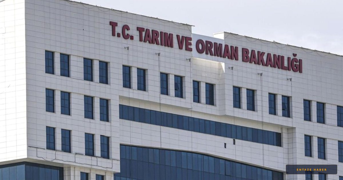 Bakanlıktan Kritik Uyarı: Ormangülü İçeren Reçel ve Şuruplar Tehlike Saçıyor