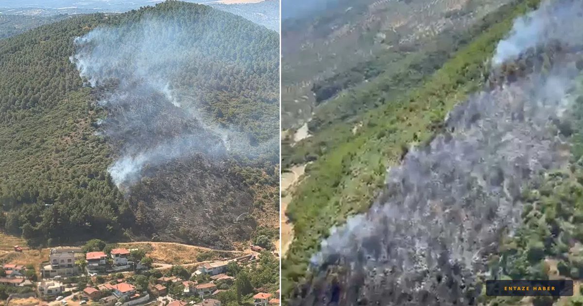 Balıkesir Burhaniye'de Orman Yangını: Ekipler Alevlerle Mücadele Ediyor