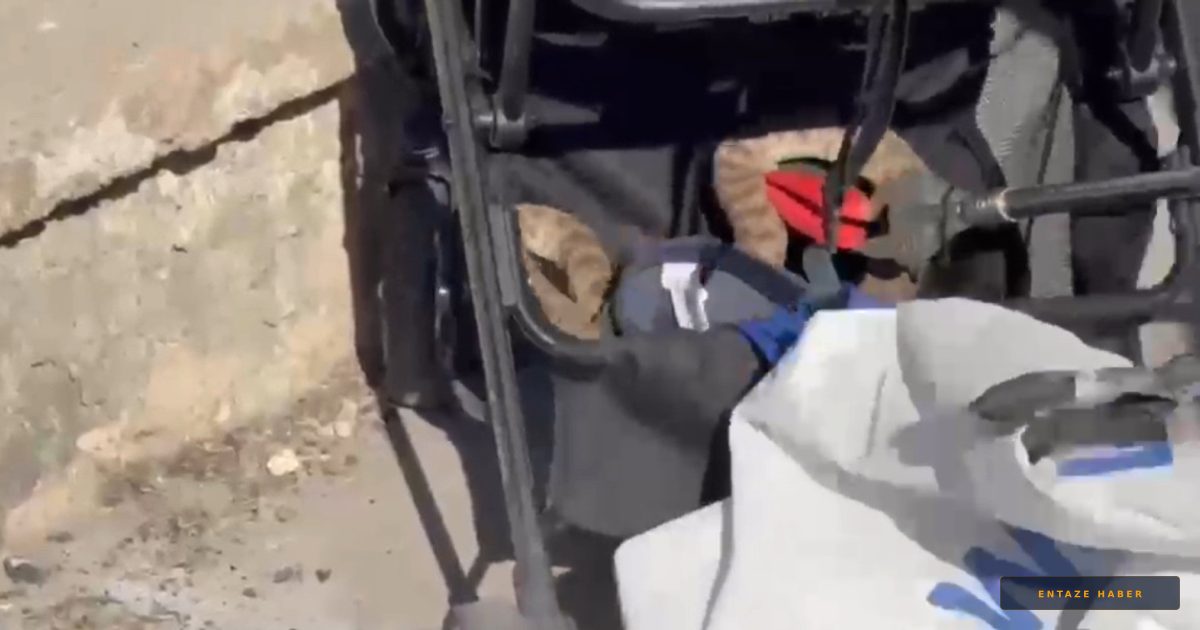 Piknik Keyfi Kabusa Döndü: Bebek Arabasına Yılan Düştü