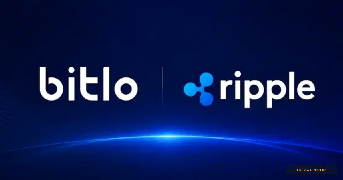 Bitlo ve Ripple’dan Dev İş Birliği: RLUSD Türkiye’ye Geliyor