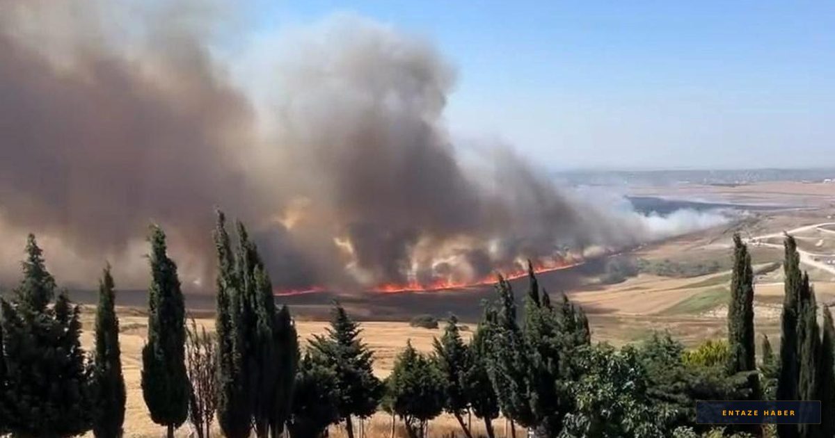 Büyükçekmece'de Hasat Zamanı Korku Dolu Anlar: Buğday Tarlası Kül Oldu