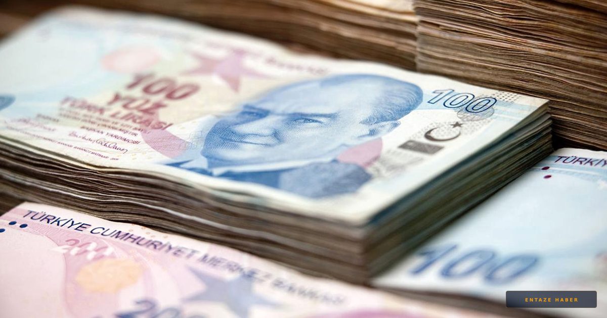 Dev Destek Paketi: Çiftçi ve Esnafa 629 Milyar Liralık Can Suyu