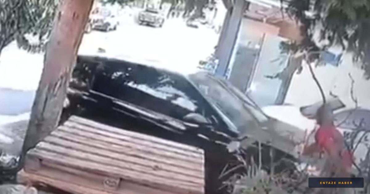 Bodrum'da Cip Dehşeti: Yaya Cansever Kartam Hayatını Kaybetti
