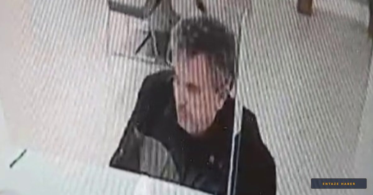 Bolu'da Banka Müşterisinin Üzerine Tavan Arasından Kedi Düştü: Deprem Sandılar!