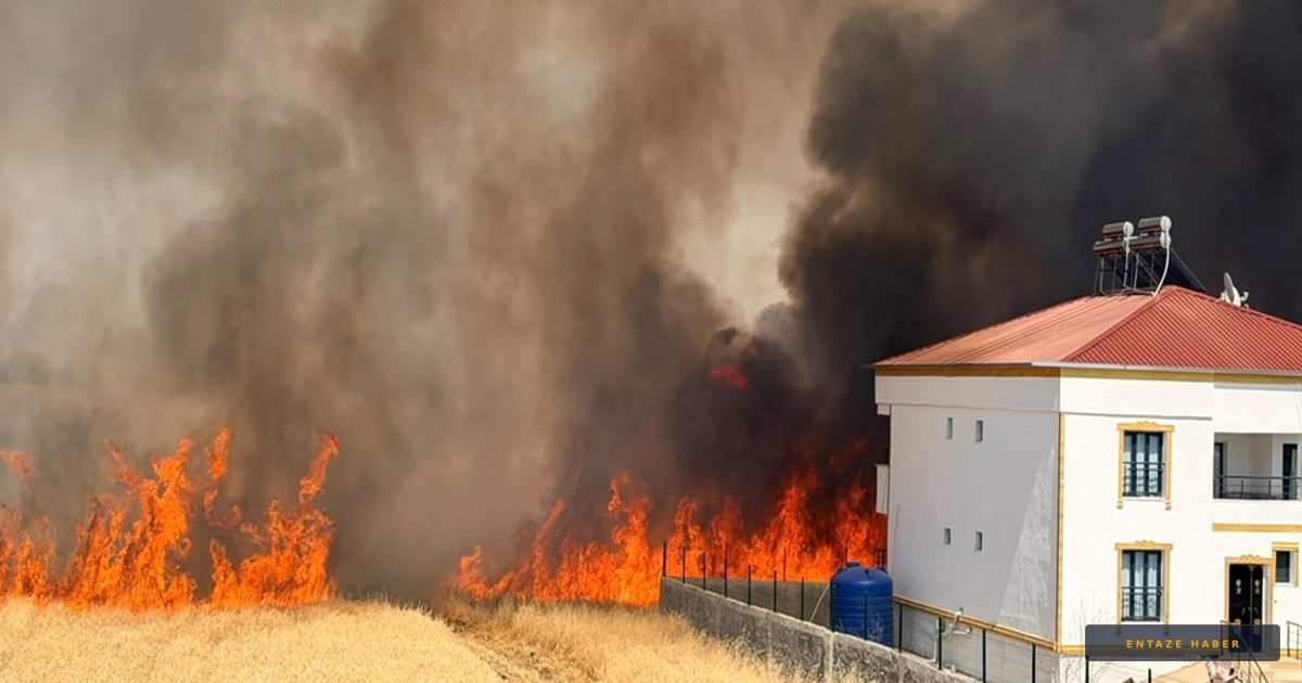 Diyarbakır'da Korkutan Anız Yangını: Alevler Yerleşim Yerlerine Sıçramadan Durduruldu