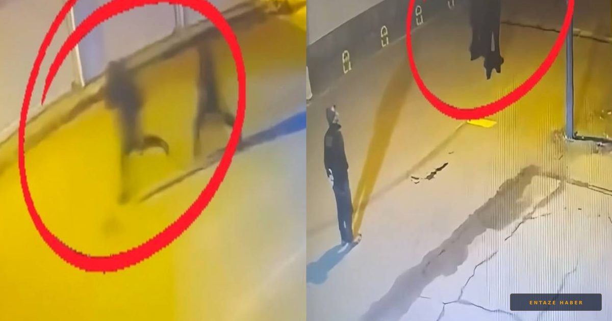 Diyarbakır’da Organize Suç Örgütüne Büyük Darbe: 15 Tutuklama