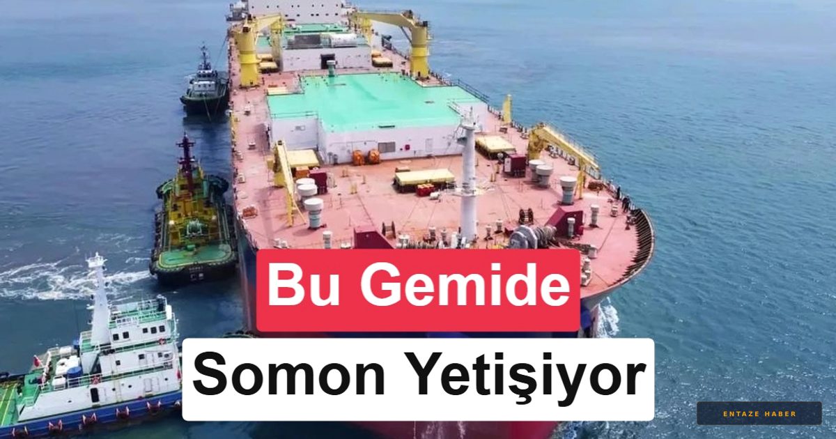 Denizlerin Gezici Çiftliği: Çin'in 100 Bin Tonluk Somon Gemisi Raflarda