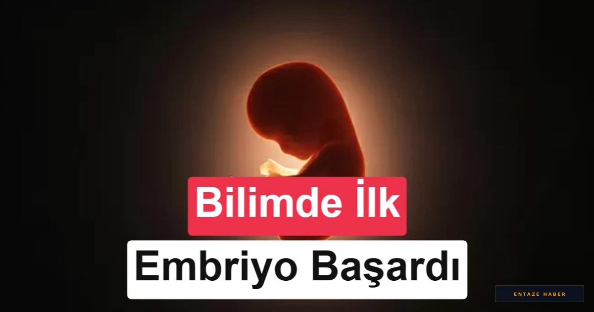 Bilim Dünyasında Devrim: Laboratuvar Ortamında İnsan Embriyosu Kendi Organlarını Oluşturdu