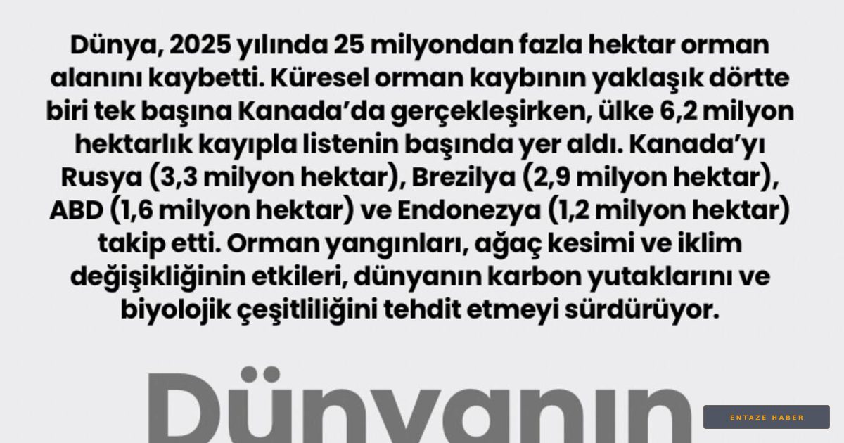 Küresel Felaket: Ormanlarımız Hızla Yok Oluyor, Kanada Zirvede!