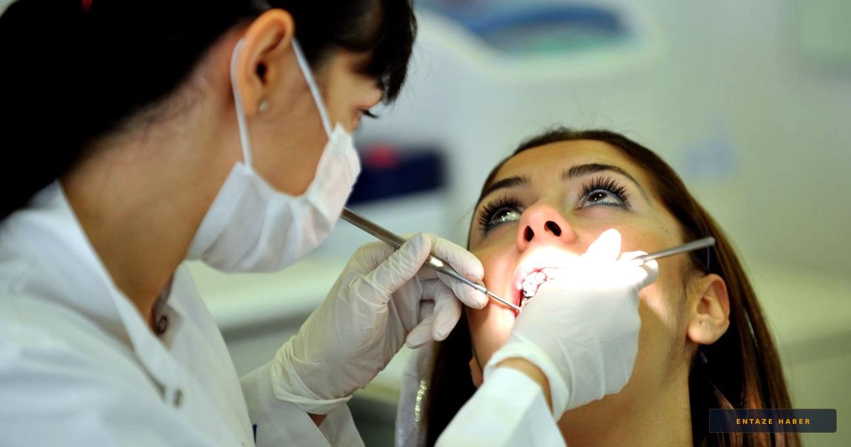 2026-DUS 1. Dönem Yerleştirme Sonuçları Erişime Açıldı: İşte Sonuç Sorgulama Ekranı