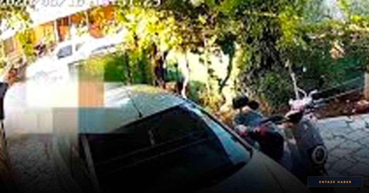 Fethiye'de Kan Donduran Komşu Kavgası: Kapı Gıcırtısı Cinayetinin Görüntüleri Yayınlandı