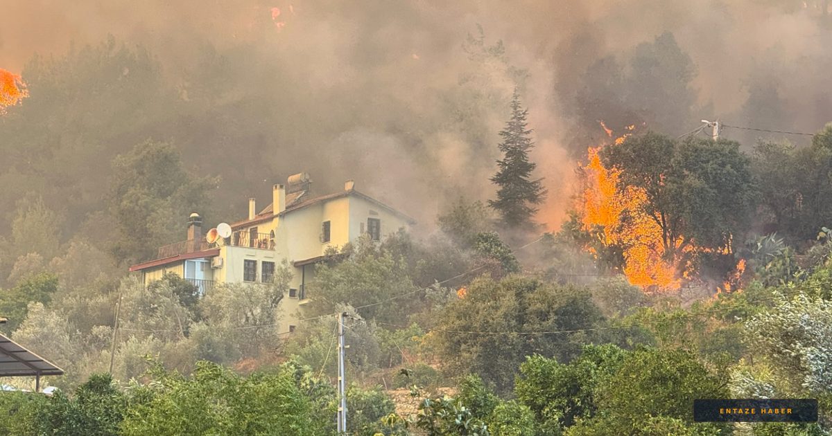 Türkiye Genelinde Yangın Alarmı: Fethiye'den Antalya'ya Mücadele Sürüyor