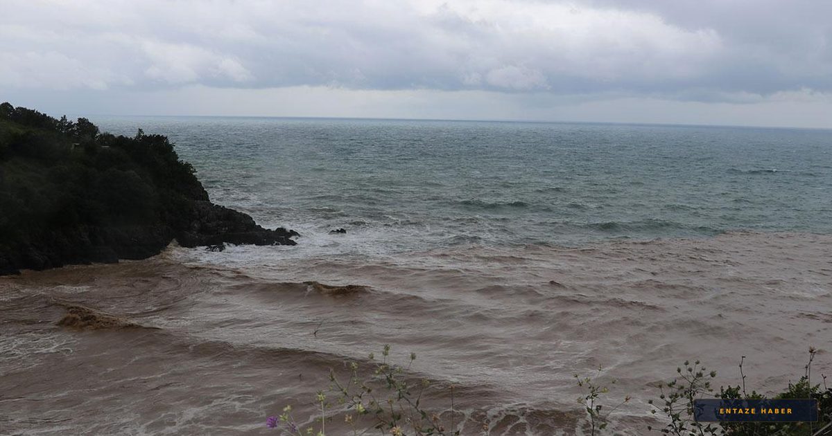 Zonguldak Sahillerinde Tehlike Çanları: Denize Girmek Kesinlikle Yasaklandı