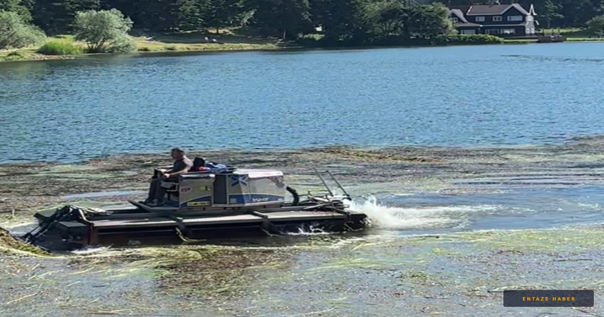 Bolu Gölcük'te Doğa Seferberliği: İstilacı Bitkiler İçin Amfibi Operasyon Başladı