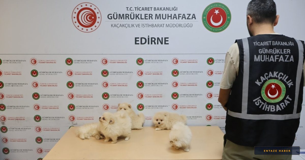 Kapıkule'de 'Pomeranian' Operasyonu: 472 Bin Liralık Kaçakçılık Engellendi