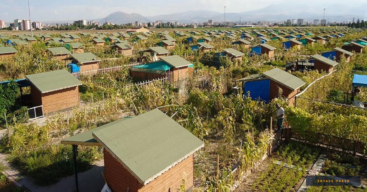 Hobi Bahçesi Yasasında Sürpriz Karar: Yıkım Maddesi Tasarıdan Çıkarıldı mı?
