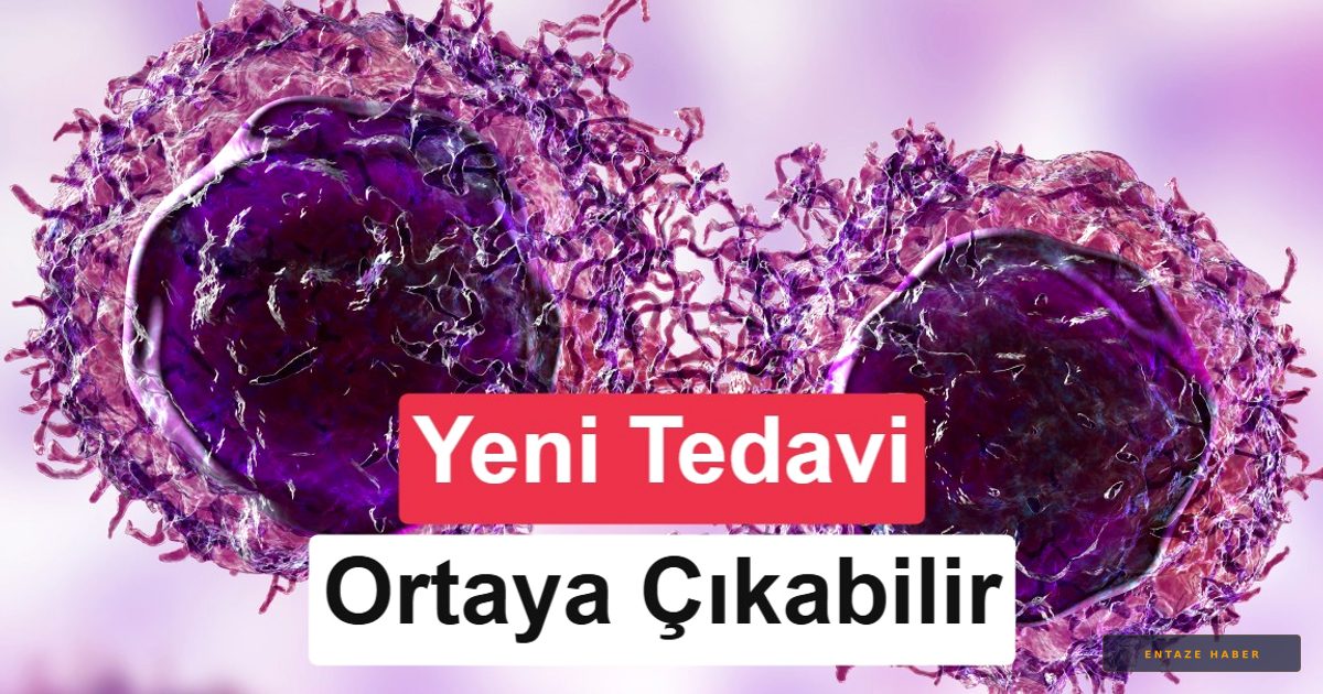 Hücrelerin Ölüm Kalkanı Çözüldü: Kansere Karşı Devrimci Keşif