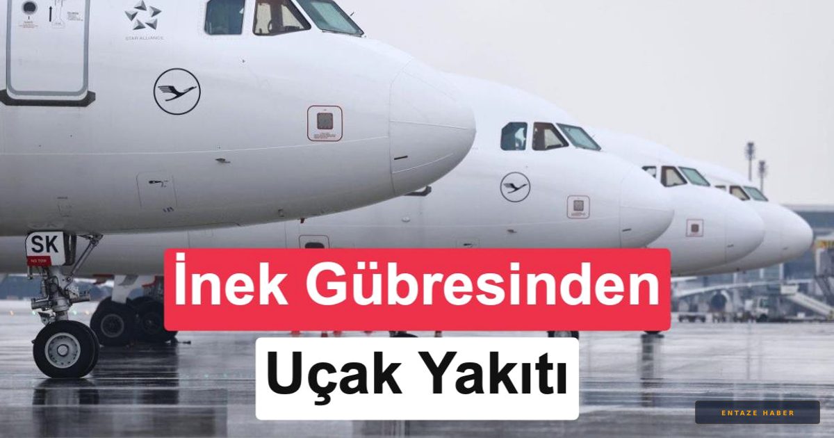 İnek Gübresi Artık Gökyüzünde: Jet Yakıtı Dönüşümü Başladı!