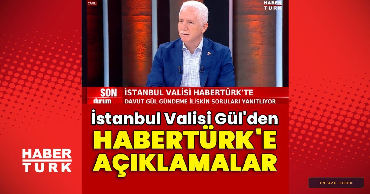 İstanbul Valisi Davut Gül'den Kritik Mesajlar: Sokak Hayvanları ve Trafik Sorunu İçin Yeni Yol Haritası