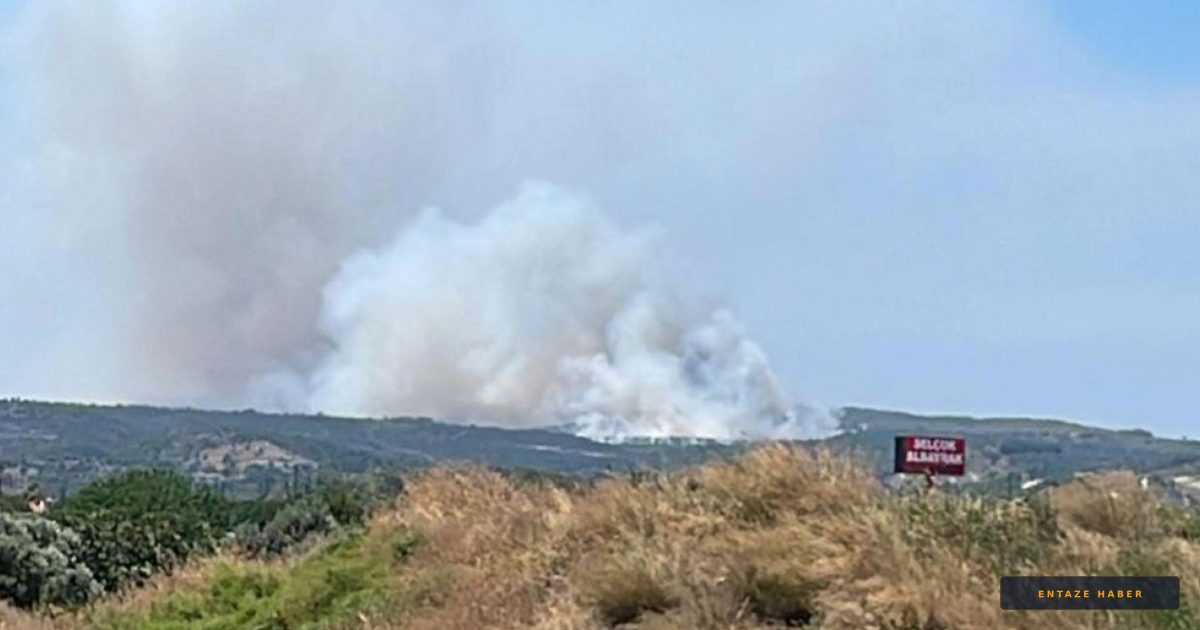Çeşme'de Korkutan Yangın: Alevler Çöplükten Makilik Alana Sıçradı