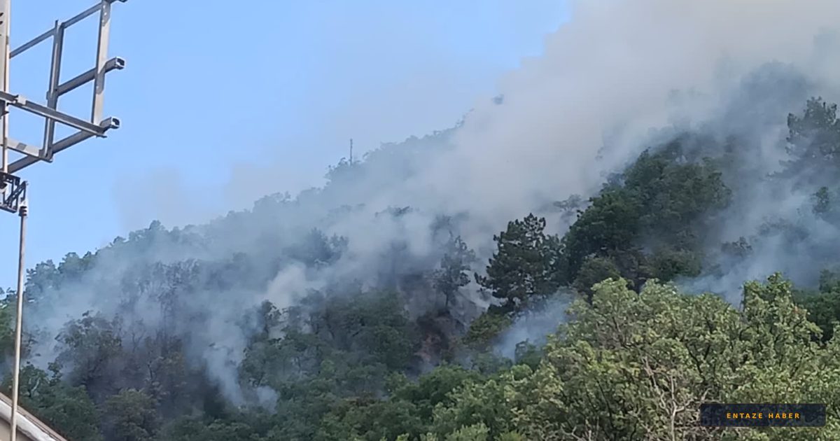 Kastamonu Tosya'da Orman Yangını: Ekipler Alevlere Karşı Zamanla Yarışıyor