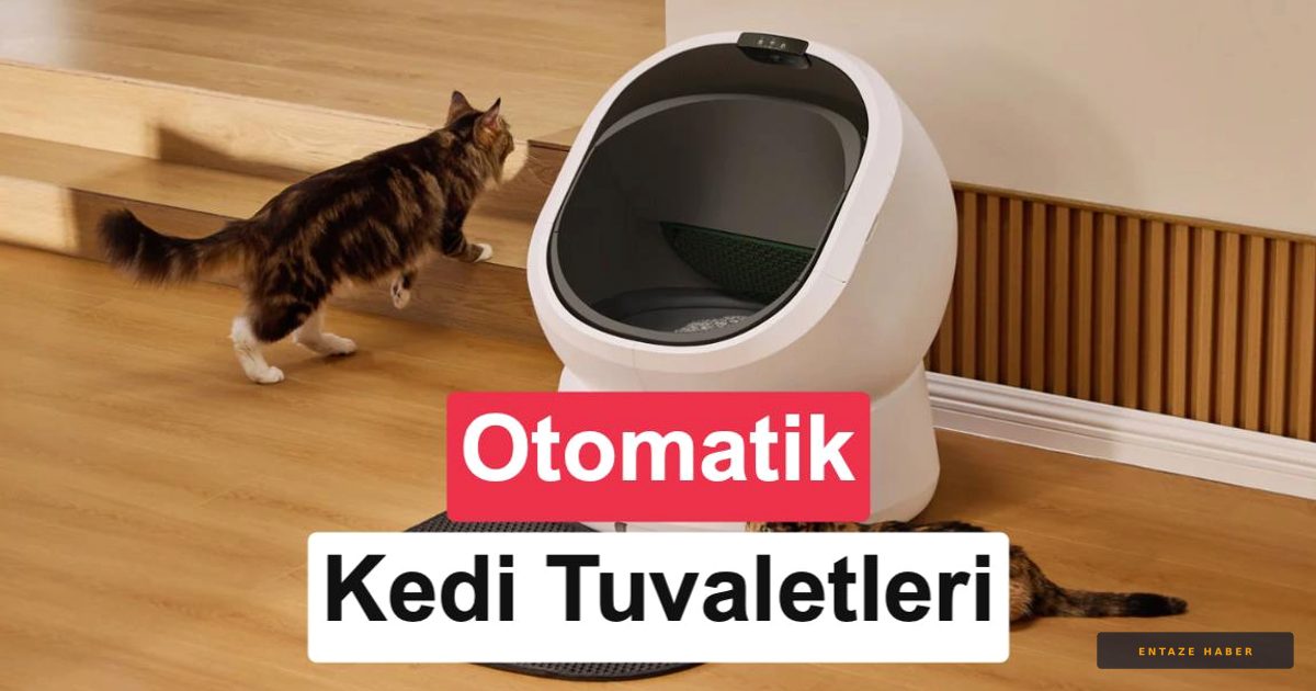 Evcil Dostunuz İçin Konfor Devrimi: 2026'nın En İyi Akıllı Kedi Tuvaletleri