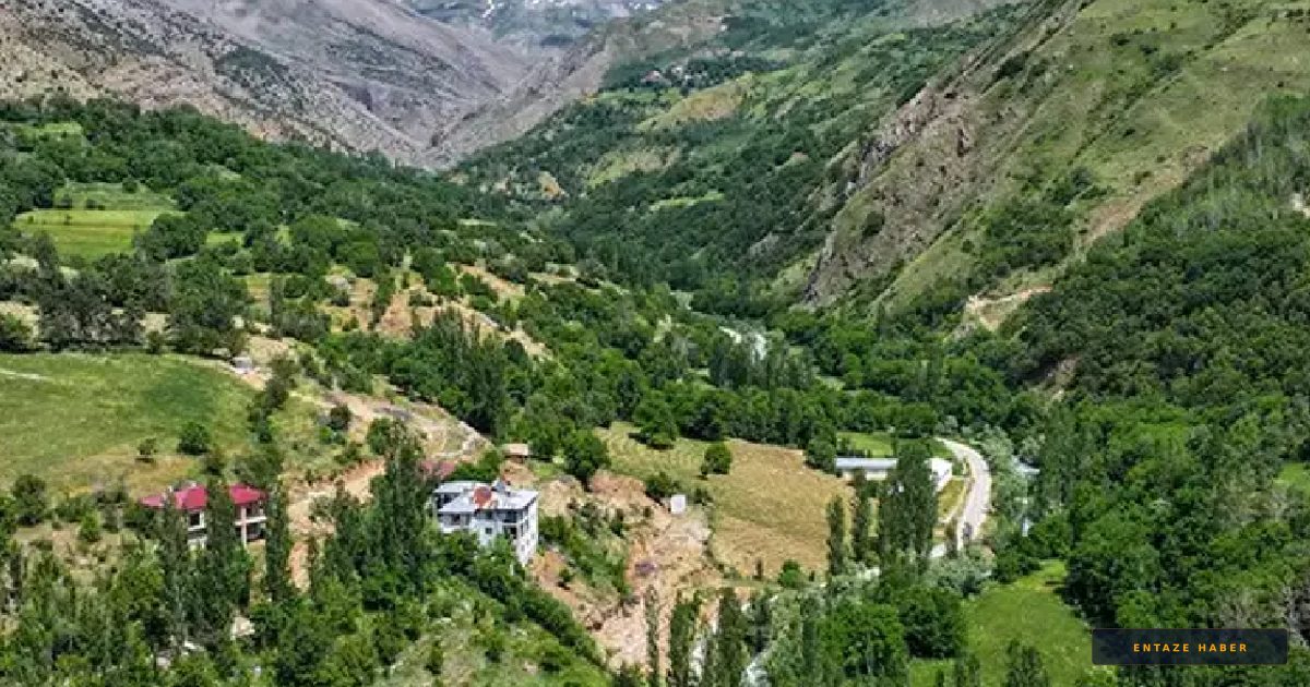 Van'ın Sarp Dağlarında Bir Başarı Öyküsü: Tek Başına Yılda 2 Ton Çilek Yetiştiriyor