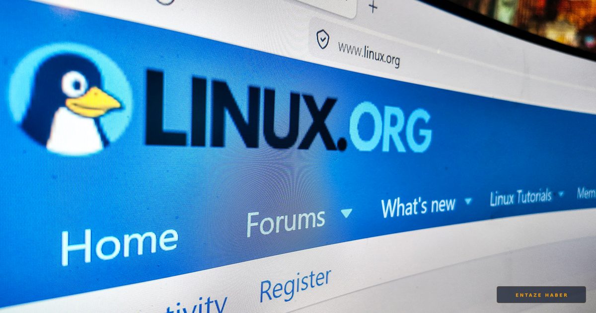 Linus Torvalds'tan Yapay Zeka Tartışmalarına Sert Çıkış: 'İstemeyen Gidebilir'