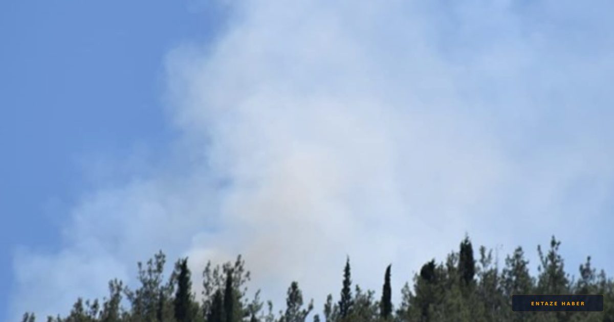 Manisa'da Korkutan Yangın: Turgutlu Alevlere Teslim Oldu!