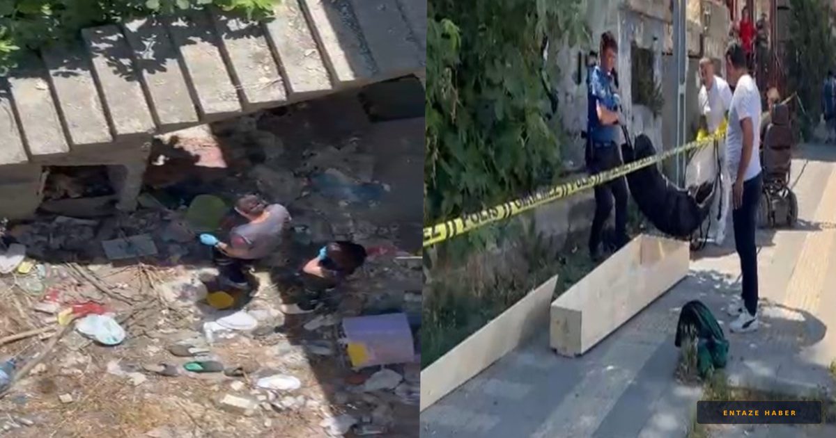 Sarıyer'de Korkunç Tesadüf: Kayıp Kedisini Ararken Cesetle Karşılaştı