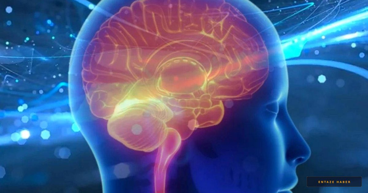 Parkinson Hastalarına Umut Işığı: Yürüyüş Bozukluğunu Bitiren Yapay Zeka Destekli Beyin Pili