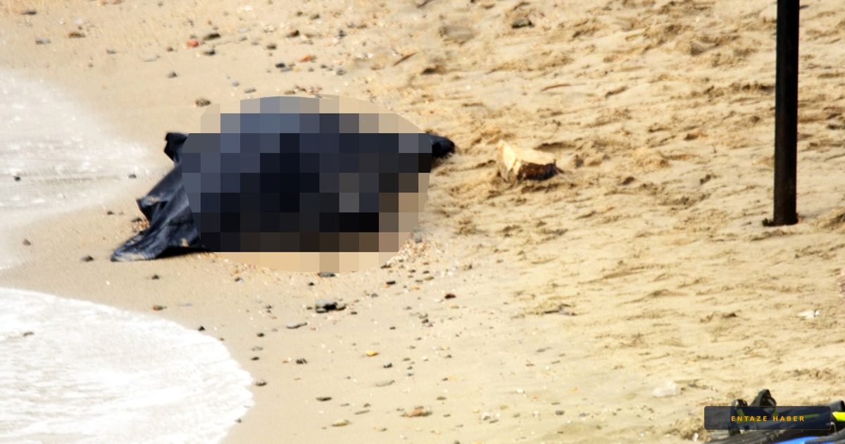 Bodrum'da Tatilcileri Dehşete Düşüren Manzara: Kumların Altından İskelet Çıktı