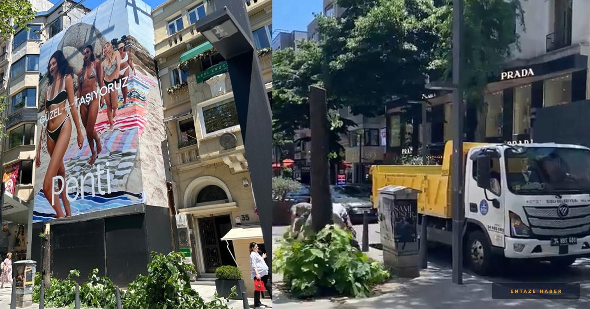 Nişantaşı'nda Skandal: Reklam Panosu Görünsün Diye Ağaç Katledildi
