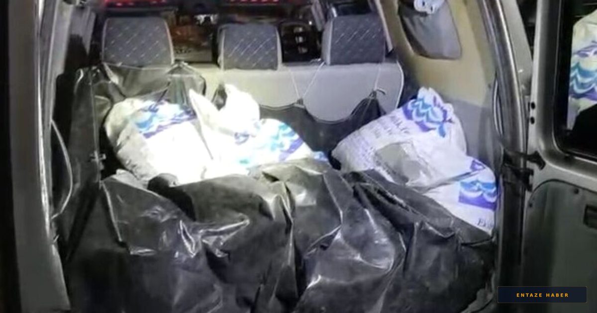 Samsun'da Kaçak Midye Operasyonu: Tonlarca Ürün Denize İade Edildi