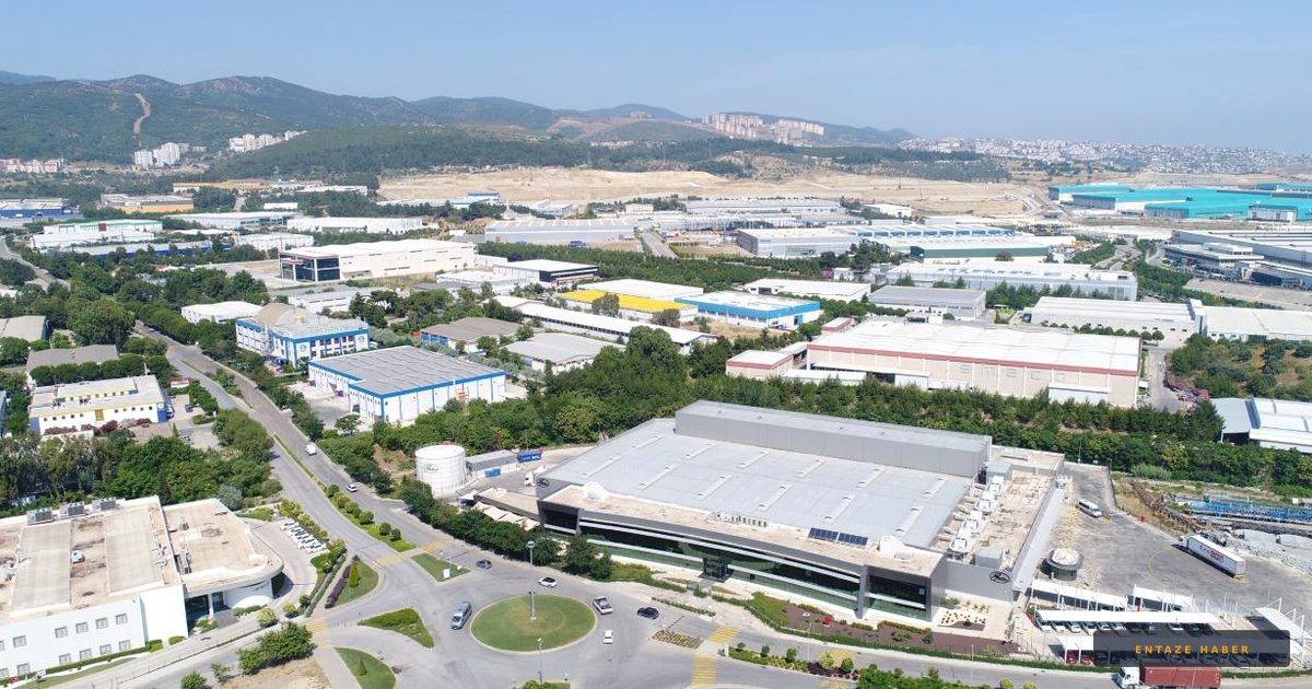 Türkiye'nin Ticaret Üslerinde Rekor: Serbest Bölgeler İhracatı Sırtladı