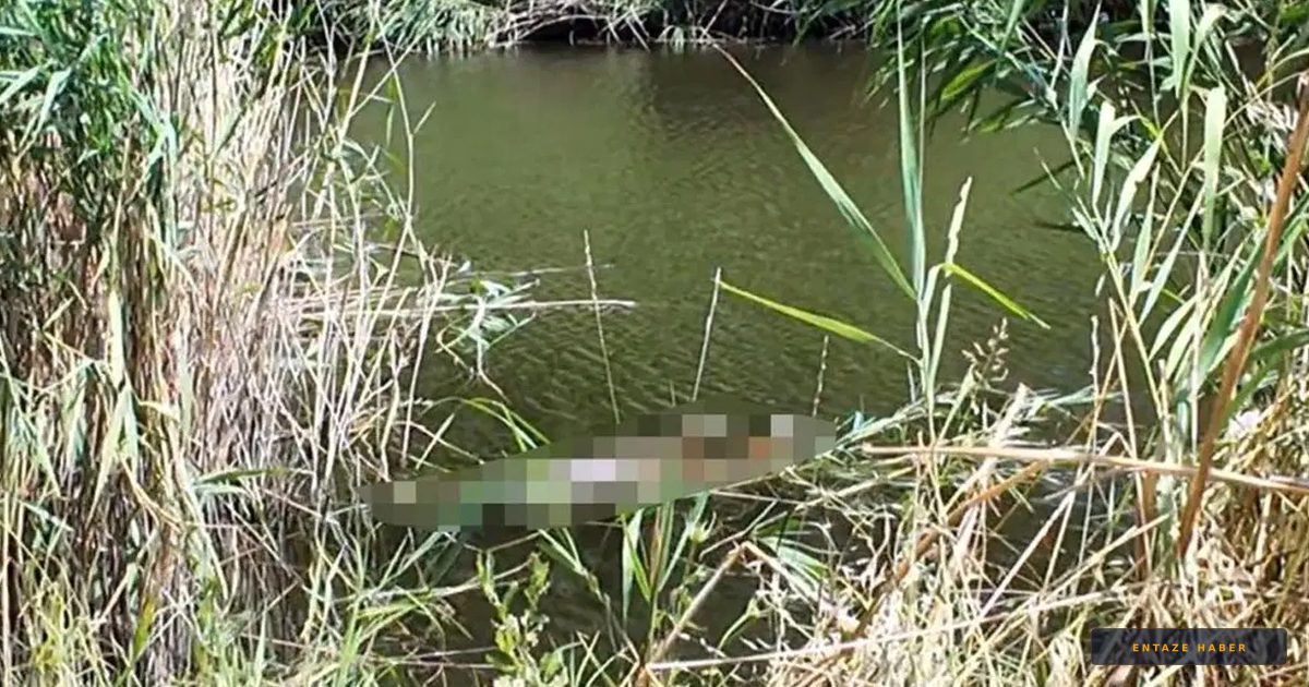 Silivri’deki Gölette Şüpheli Ölüm: Arkadaşının Gözleri Önünde Can Verdi
