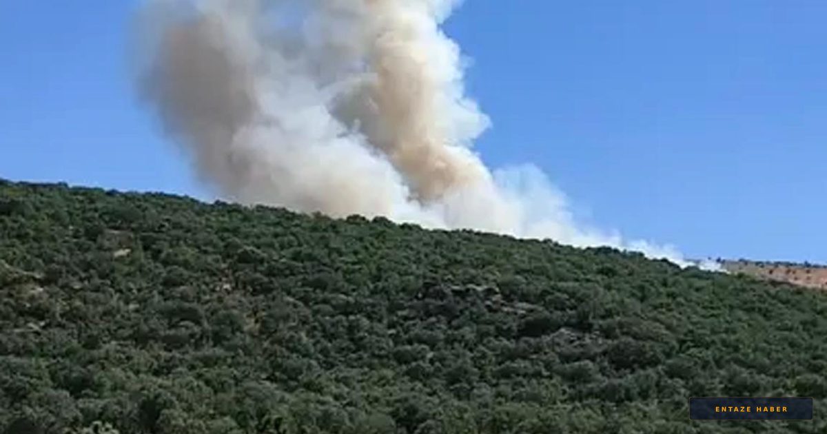 Diyarbakır Silvan'da Orman Yangını Paniği: Ekipler Zamanla Yarıştı