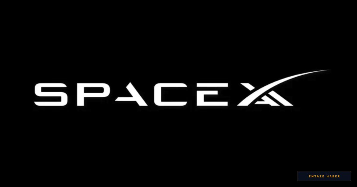 Elon Musk'tan Devrimsel Hamle: SpaceX, xAI ve X Tek Bir Çatı Altında Birleşti